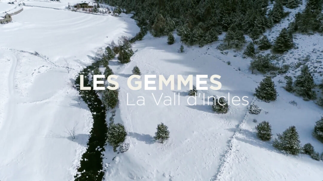 Tra Infografia – Les Gemmes