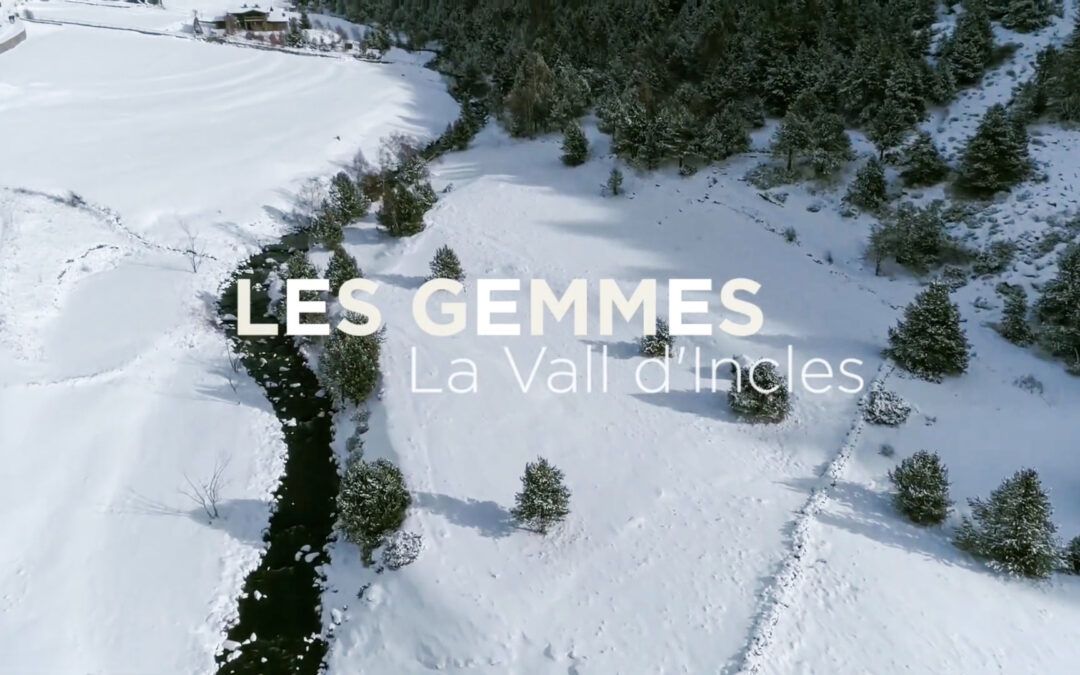 Tra Infografia – Les Gemmes